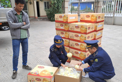 Thái Nguyên thu giữ lượng lớn thực phẩm không đảm bảo an toàn vệ sinh